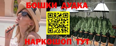spice Беслан