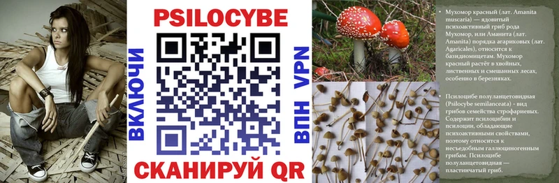 дарк нет как зайти  закладки  Гулькевичи  Псилоцибиновые грибы мухоморы 