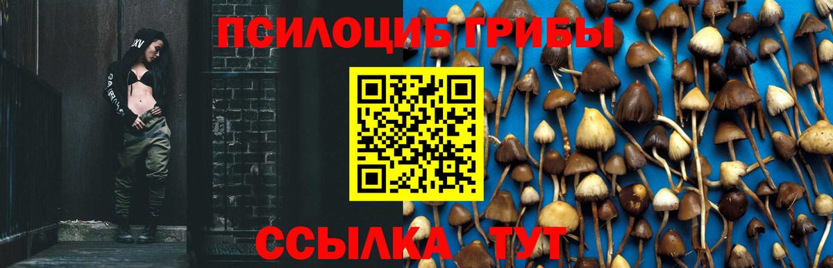 Галлюциногенные грибы Magic Shrooms Гулькевичи